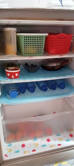 jambo size fridge
