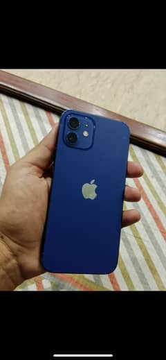 I phone 12