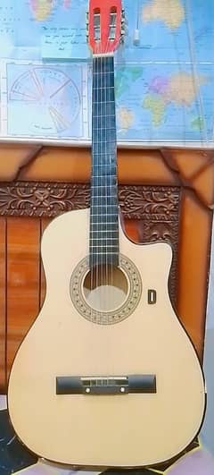 Acoustic guitar