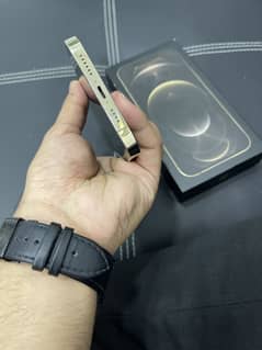 Iphone 12 Pro Max Pta Approve