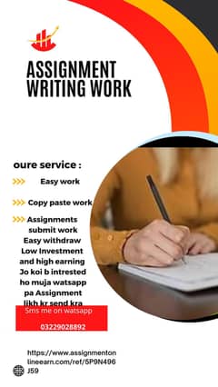 Assignment work, Online Job