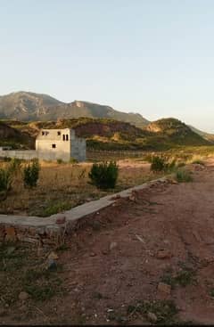 oringal