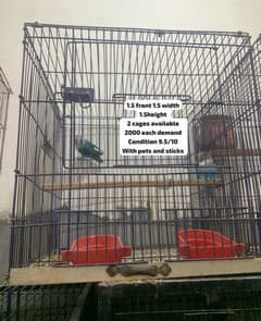 Birds available + birds and  hens cages available
