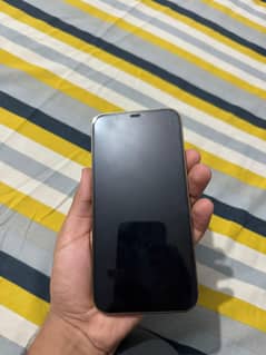 12 pro max