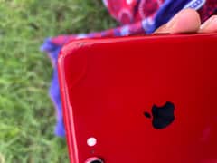 iphone 8 plus