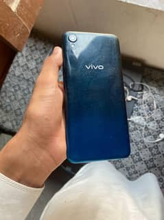 vivo