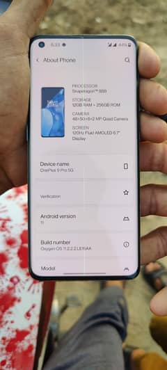 one plus 9pro ,12.256ram