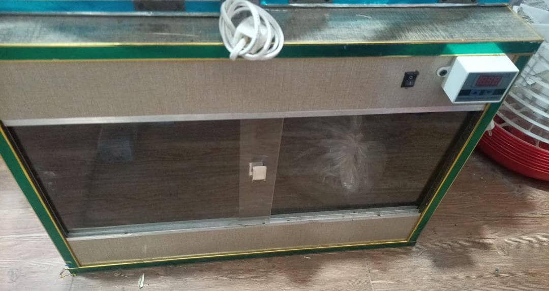manual & automatic incubator, brooder 30,50,100,150,240,320,500 eggs 12