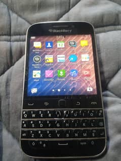 blackberry