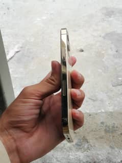 12 pro Non pta
