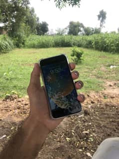 iphone 8