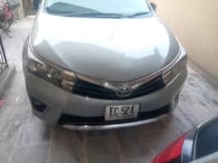 Carolla gli automatic