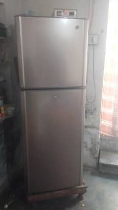 Pell Refrigerator in low price!