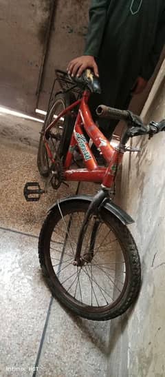 bicycle