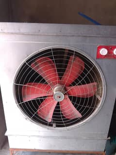 room air color