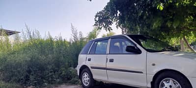 Suzuki cultus