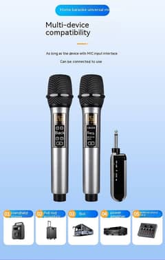 Saeapu TT-M22 Microphone