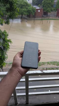 vivo y19s
