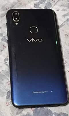 vivo