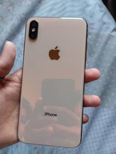 Iphon X's Max.