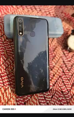 vivo
