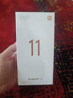 11T