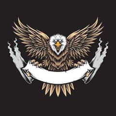 Need senior vector artist