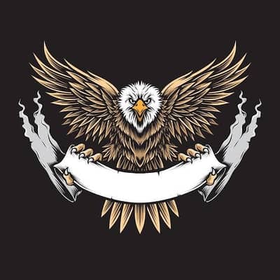 Need senior vector artist