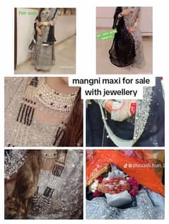 mangni