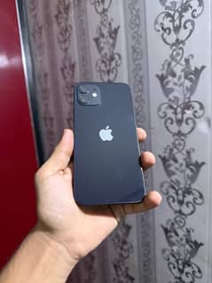 IPhone 12 10/10 WATER PACK