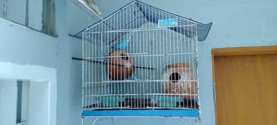 Bird Cages| Used Cages