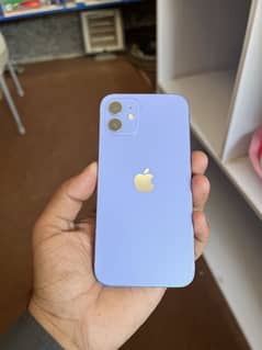 iPhone 12 (Approved)