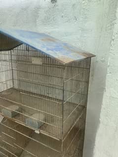 Cages Of Birds
