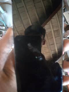 sell phone