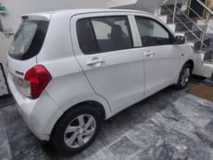 cultus vxl 2022