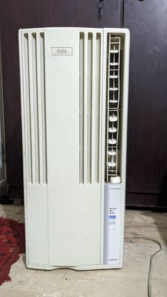 110 ac with converter