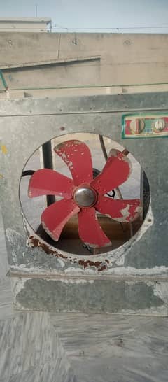 Lahori cooler
