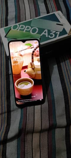oppo A31