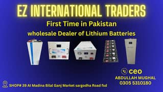 lithium batteries 24v/48v lithium batteries /new battery