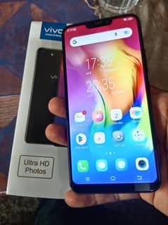 VIVO