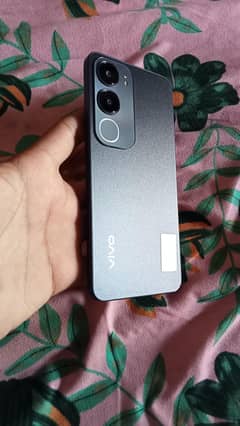 Vivo y19s urgent sale