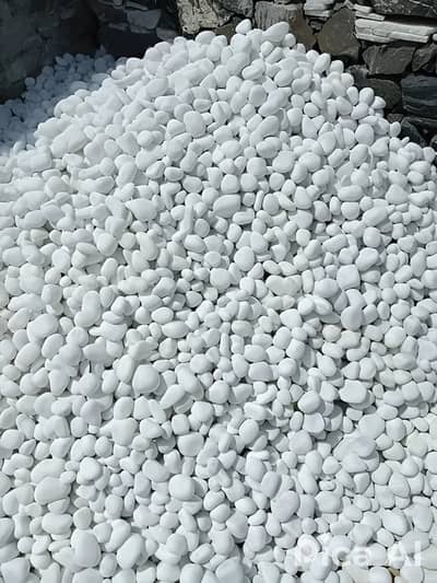 GardenStones | Fancy pebbles | Garden Stones | White Pebble's
