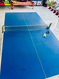 Table Tennis | Ping pong table