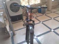 beautiful cycle