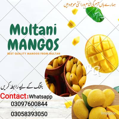 VIP multani mangoes Best quality. . A1 10 kg