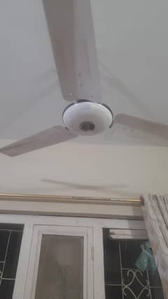 PAK FAN 4 fans available for sale