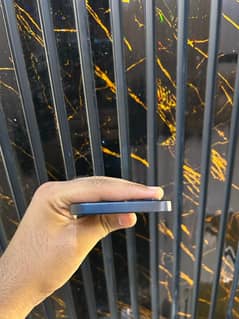 iPhone 12 100 health