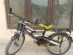 Chinese Bicycle