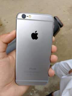 iphone 6