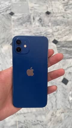 iPhone 12 256GB